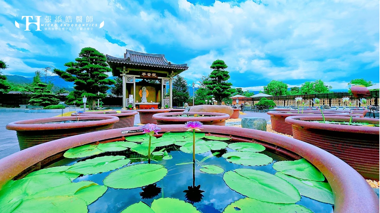 中台禪寺裡的變速雨；張添皓醫師的「無情自然」顯微根管治療哲學！