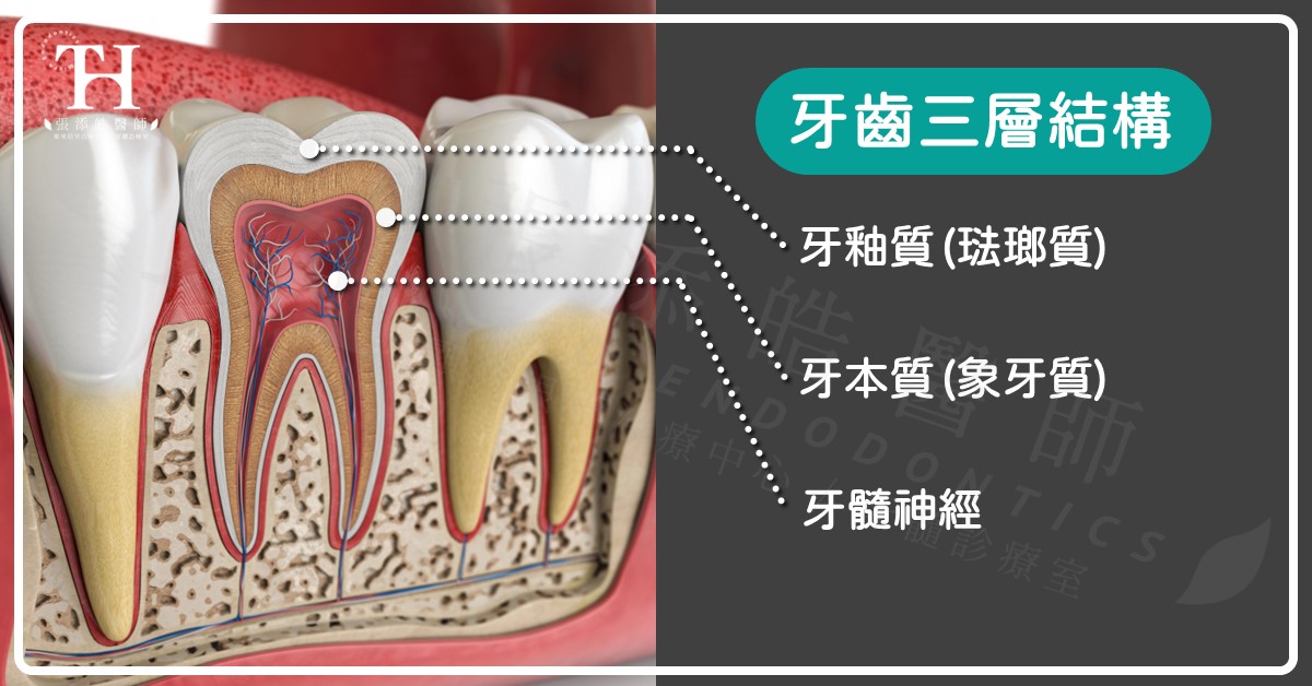 咬冰塊，很傷牙齒的三大原因及處理【張添皓醫師顯微根管治療特診】