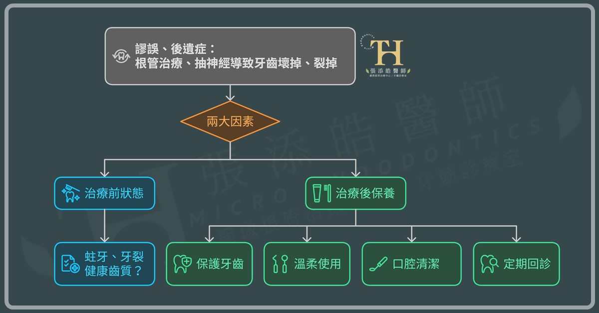 根管治療、抽神經牙齒會有後遺症嗎？牙齒容易壞掉、牙裂嗎？2大原因4個需要【張添皓醫師顯微根管治療特診】