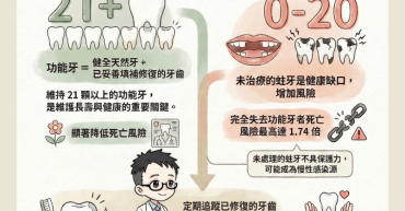 B【2025醫學實證】老人掉牙影響壽命？留住「功能牙」是關鍵！張添皓醫師臨床觀點：牙齦膿包、牙根尖黑影別急著拔，顯微根管治療保留天然牙策略